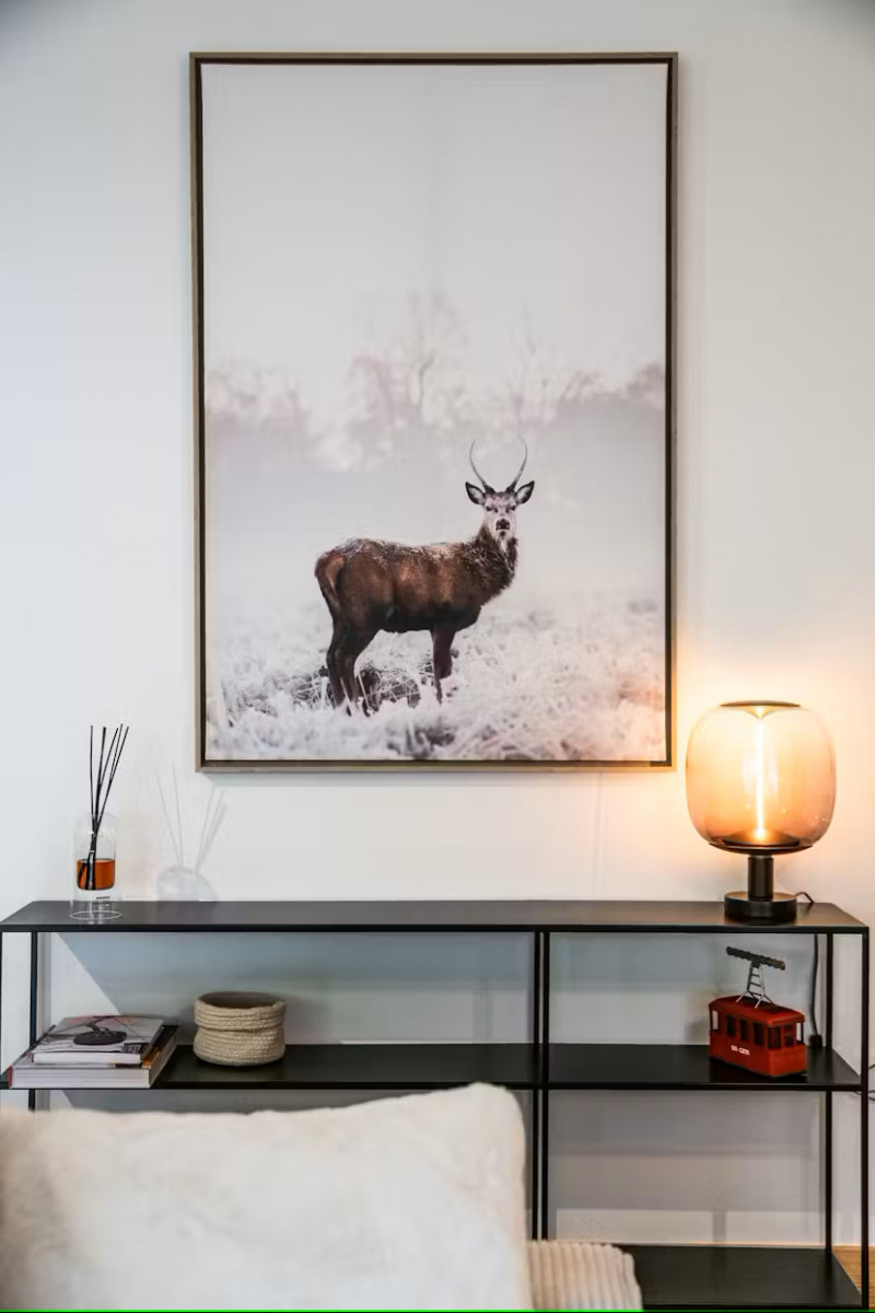 cairn-harmony-dolmen-decoration-details-location-chalet-appartement-les-gets-14327392-14355413