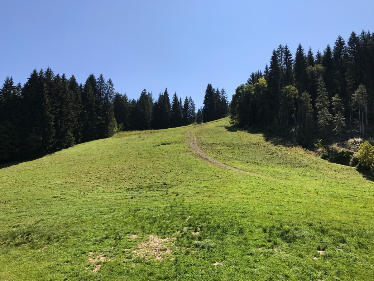 Caribou-B4-bis-vue-ete-location-appartement-chalet-Les-Gets