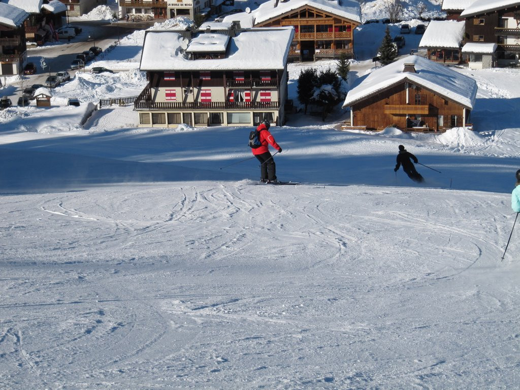 caribou-exterieur-location-chalet-appartement-Les-Gets