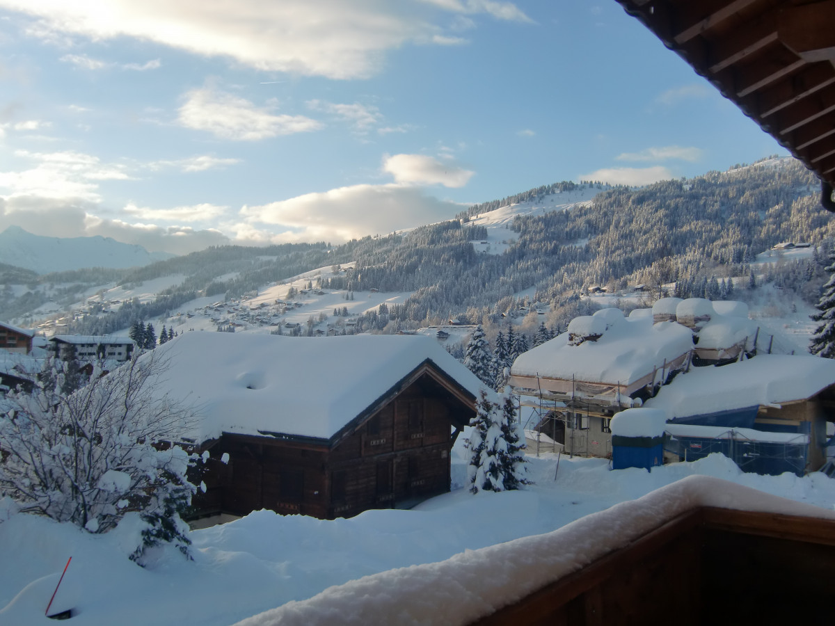 chalet-novelin-vue-appartement-chalet-Les-Gets