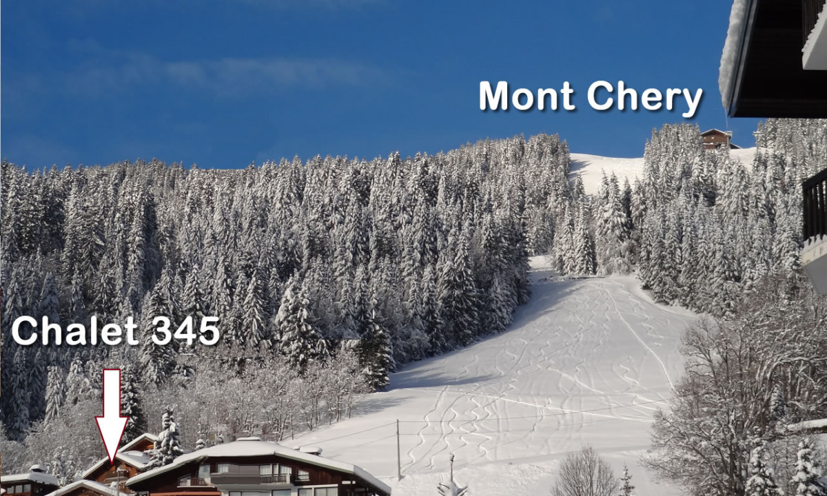 Chalet345-exterieur-vue-hiver-location-appartement-chalet-Les-Gets