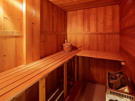 Cognee-sauna-location-appartement-chalet-Les-Gets