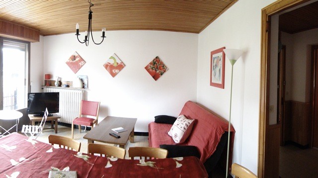 Eau-Vive-2-sejour-location-appartement-chalet-Les-Gets