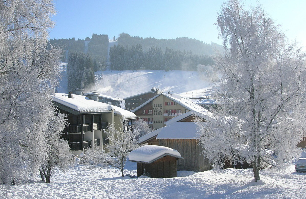 Eau-Vive-2-vue-hiver-location-appartement-chalet-Les-Gets