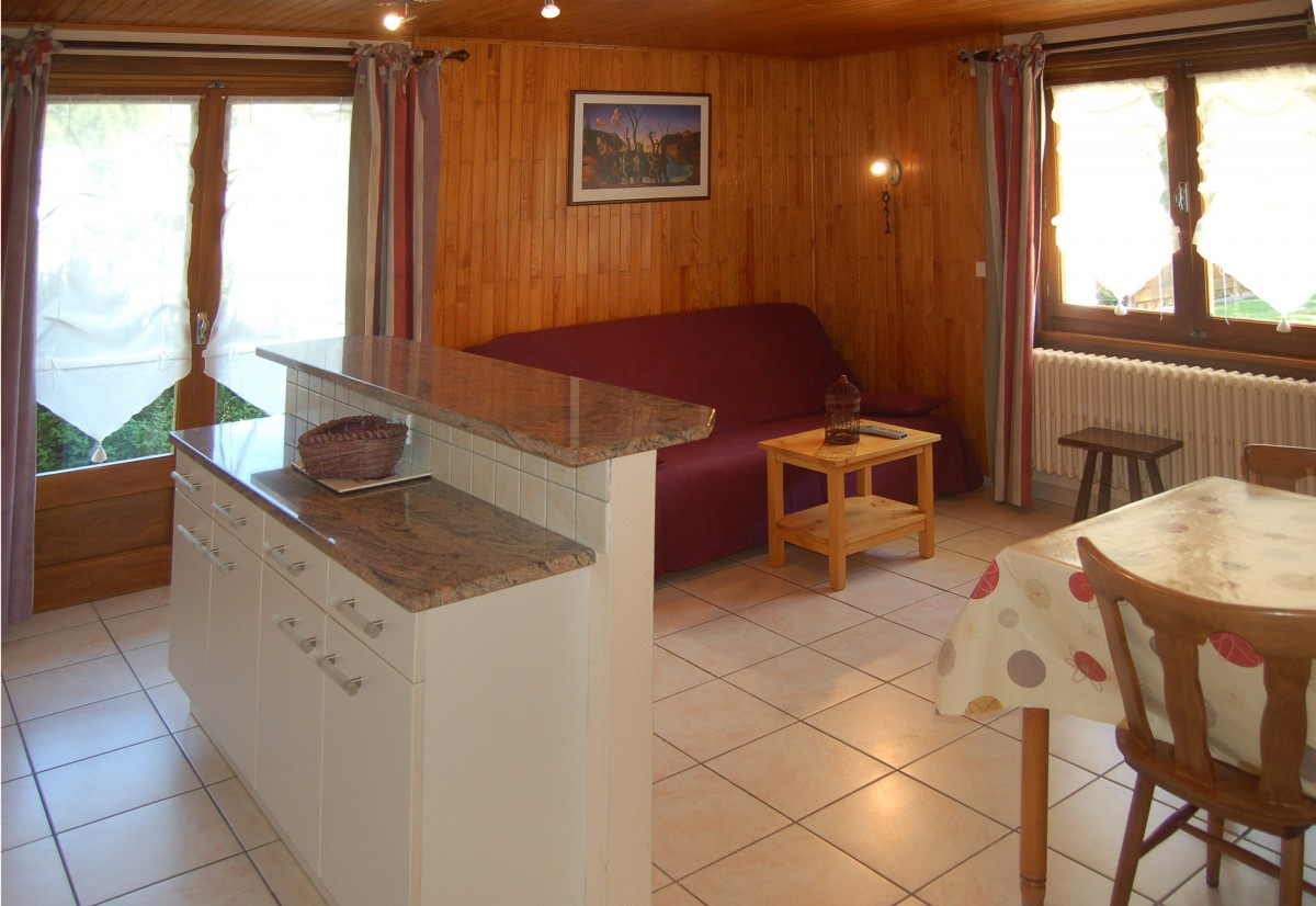 Frachettes-2-sejour-location-appartement-chalet-Les-Gets