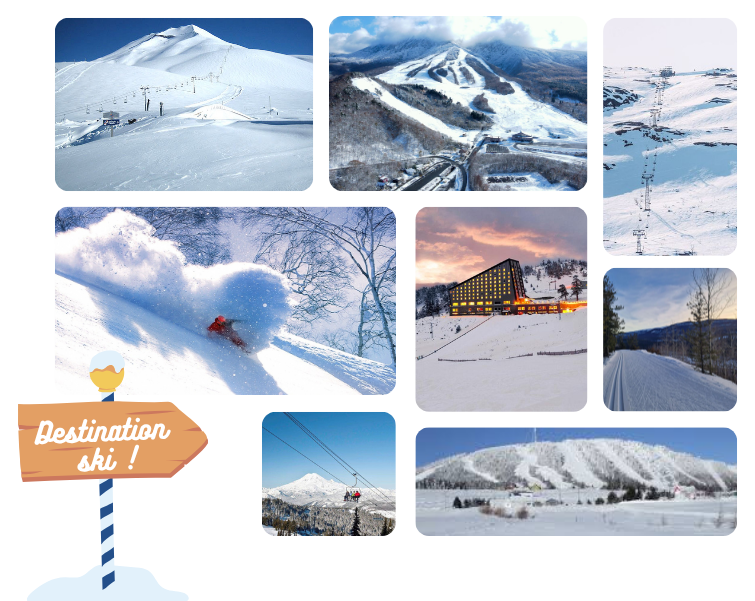 images-site-actu-44-17501086