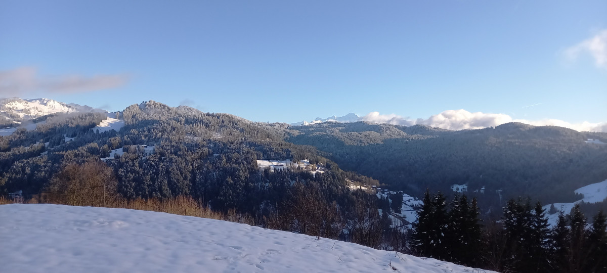 le-char-extérieur-vue-hiver-location-appartement-chalet-les-gets