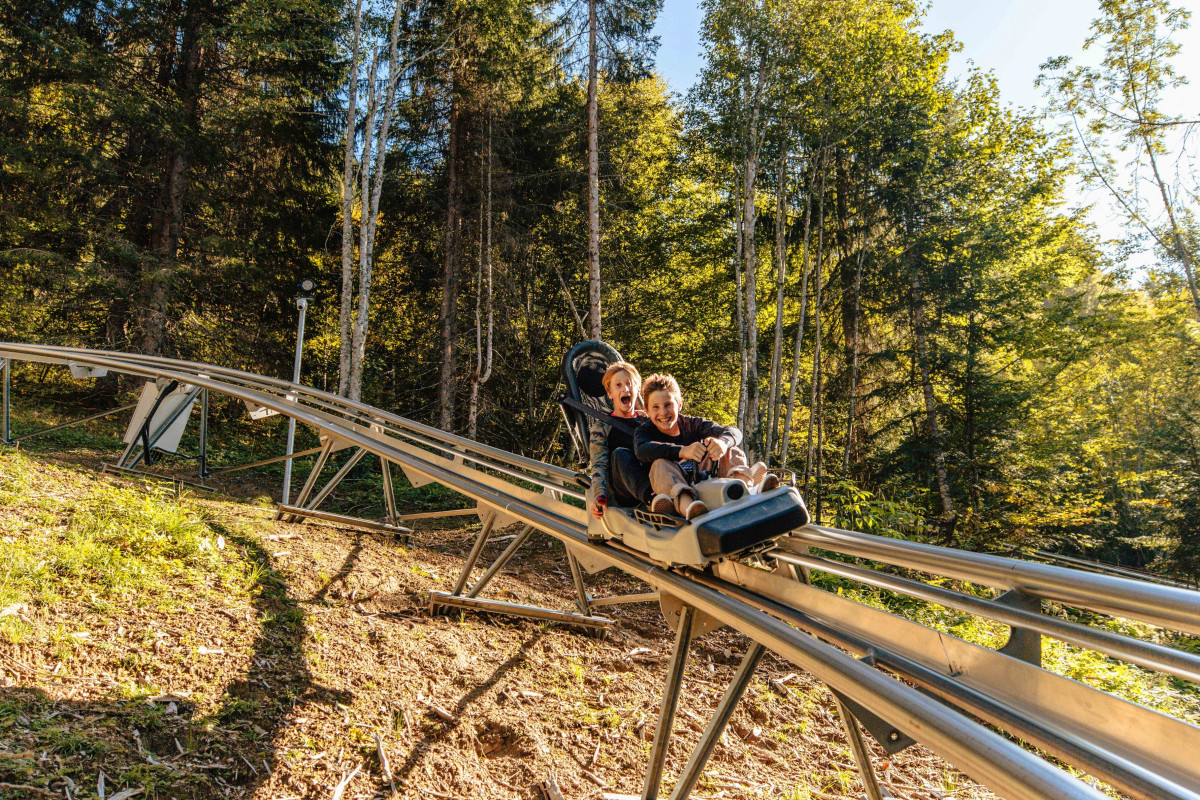 luge-17492328 luge-17492328