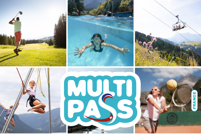 multipass2-15535395