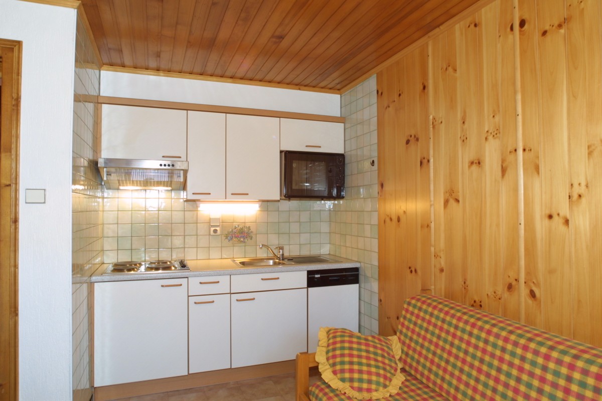 Nevada-1-cuisine-location-appartement-chalet-Les-Gets