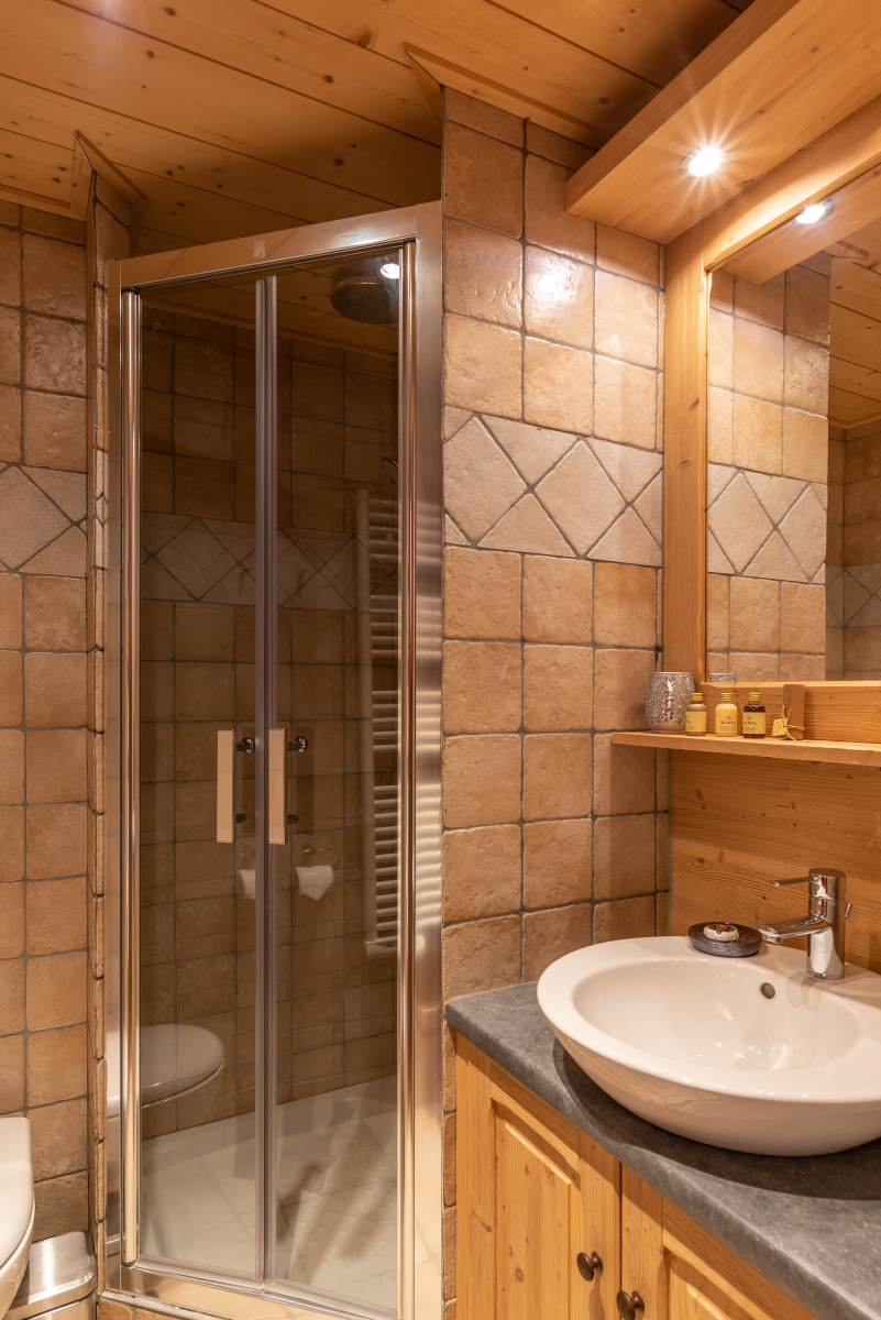 pm-shower1-14893943 pm-shower1-14893943