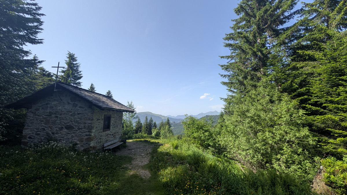 pxl-20250614-144626837-18440564