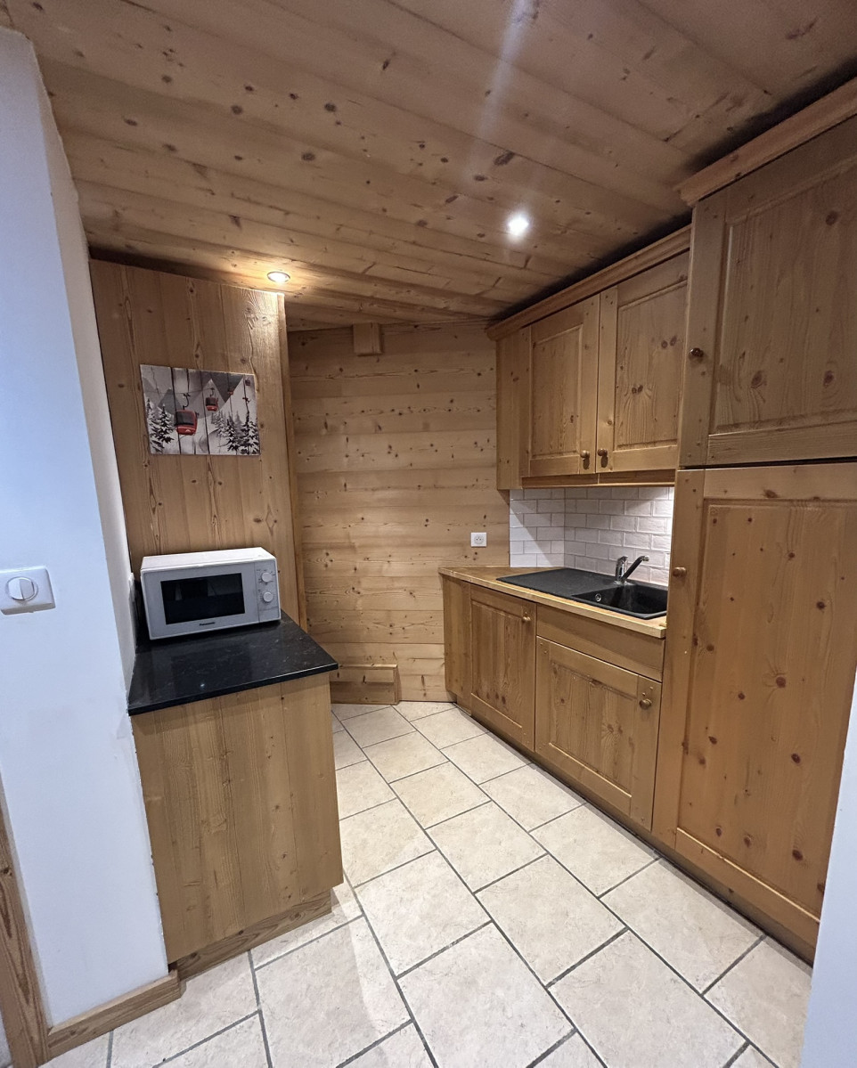 Renard-du-Lac-cuisine2-location-appartement-chalet-Les-Gets