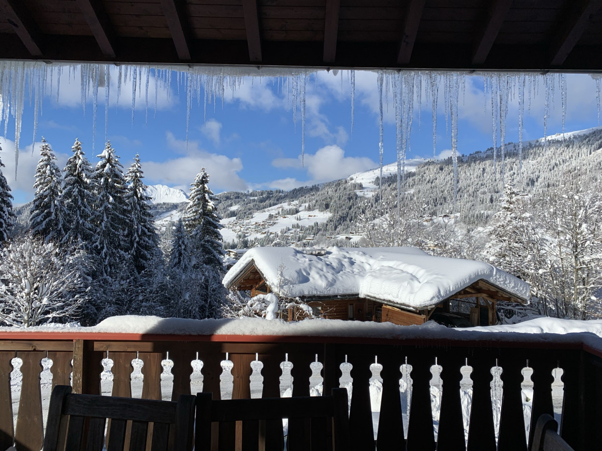 Renard-du-Lac-vue-location-appartement-chalet-Les-Gets