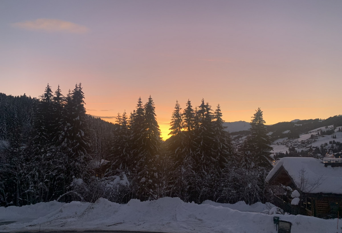 Renard-du-Lac-vue-location-appartement-chalet-Les-Gets