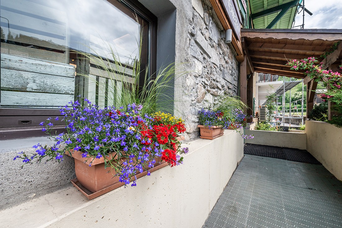 Splery-Lupin-exterieur-fleurs-location-appartement-chalet-Les-Gets