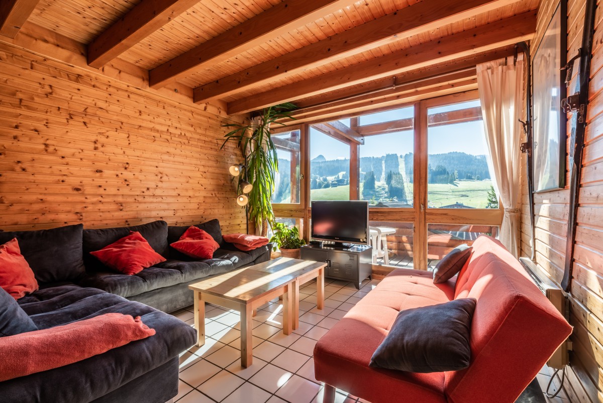 Telemark-salon-location-chalet-appartement-Les-Gets