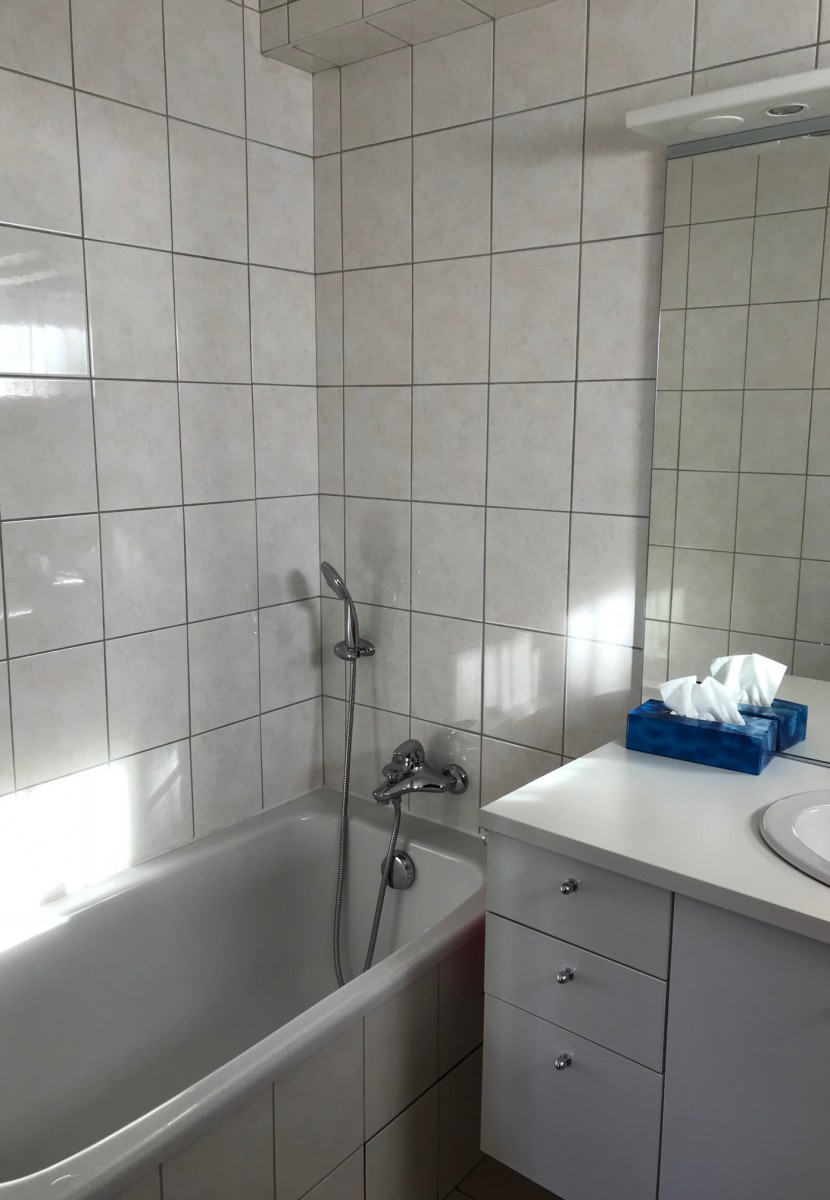 Victoria-1-salle-de-bain-location-appartement-chalet-Les-Gets