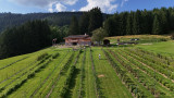 DJI_20240813173700_0131_D