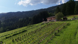 DJI_20240813173718_0132_D