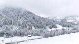 DJI_20251127120518_0960_D