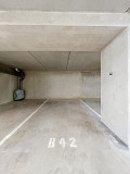 grand-cerf_00001