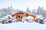 2022-02-22-chalet-sapin-enneige-lesgets-cplaurabureau-8332-ld-13870292