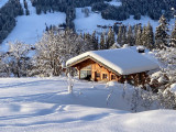 _lv_images__lot_0000000098_01_19613634