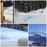 _lv_images__lot_0000000098_07_17674406