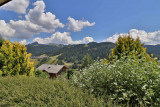 _lv_images__lot_0000000100_16_17102067