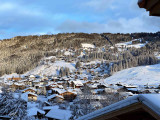 _lv_images__lot_0000000163_16_17062507