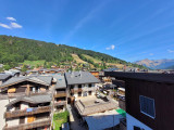 _lv_images__lot_0000000205_07_17108960
