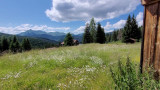 _lv_images__lot_0000000254_14_16768123
