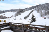 _lv_images__lot_0000020320_11_20835417