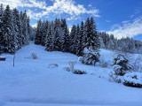 _lv_images__lot_0000400229_09_16771055