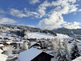 _lv_images__lot_0000550255_08_20437758