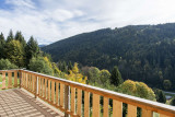 Vue