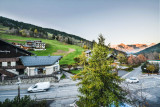 _lv_images__lot_0020302135_13_20434179