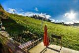 _lv_images__lot_0020392326_14_20433605