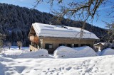 Arolle-Bouquetin-exterieur-hiver-location-appartement-chalet-Les-Gets