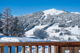 atray-vue-appartement-chalet-Les-Gets
