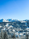 Azalees-3-vue-domaine-hiver-location-appartement-chalet-Les-Gets