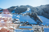Baquera-exterieur-hiver-location-appartement-chalet-Les-Gets