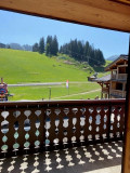 Berthet-Sports-Edelweiss-vue-pistes-location-appartement-chalet-Les-Gets