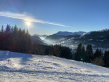 bouton-d-or-exterieur-location-appartement-chalet-Les-Gets