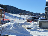 bouton-d-or-exterieur-location-appartement-chalet-Les-Gets