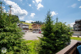 bouton-d-or-vue-location-appartement-chalet-Les-Gets