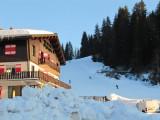 caribou-exterieur-location-chalet-appartement-Les-Gets