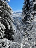 Chalet-bleu-exterieur-hiver-location-appartement-chalet-Les-Gets