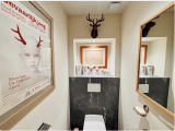 Chalet-Nabor-wc-location-appartement-chalet-Les-Gets